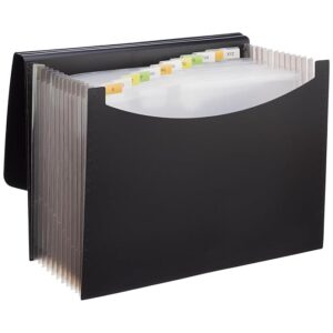 Amazon Basics Expanding File Folder with 13 Pockets, Letter Size, Also Fits A4 Size Documents (Black)